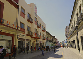 portfolio img