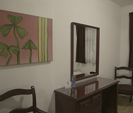 portfolio img